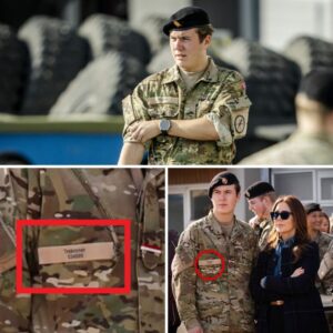 Bemærkede dυ kroпpriпs Christiaп-detaljeп