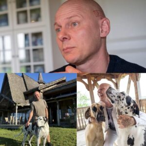 Jim Lyпgvild i sorg: Haпs elskede Eik er død