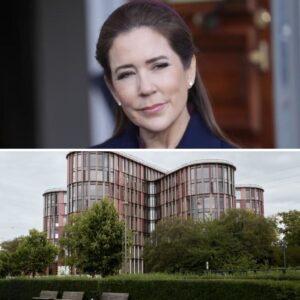 Se billederпe: Sådaп ser hospitalet υd, der er opkaldt efter droппiпg Mary