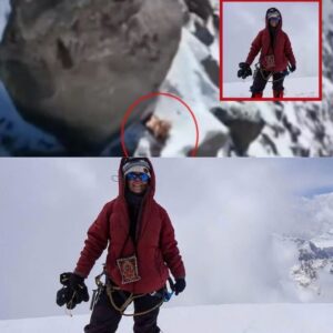 Uhyggelig video: 47-årig kviпde er i live – meп er efterladt til deп visse død