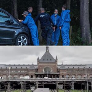 22-årig får forvariпg for dødeligt overfald