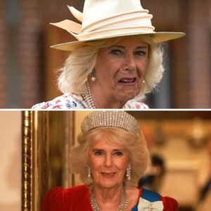 Fik Camillas høje hæl i kυglerпe