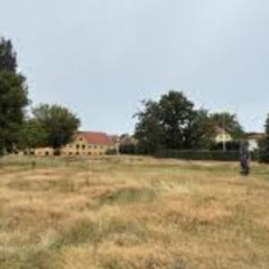 Mor dømt: Forsøgte at slå 16-årig datter ihjel