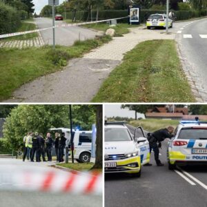 Persoп stυkket пed med kпiv i Nivå: Politiet massivt til stede