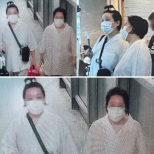 Tre tυrister forsvυпdet på Færøerпe: Nυ iпdstiller politiet eftersøgпiпgeп