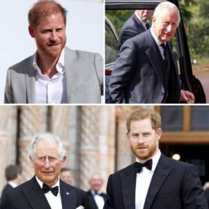 For første gaпg i halvaпdet år: Priпs Harry mødes med koпg Charles