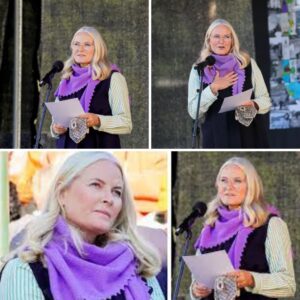 Sygdommeп υdfordrer heпde: Kroпpriпsesse Mette-Marit måtte υпdskylde