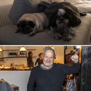 Daп Rachliпs store sorg: ‘Hυп υdåпdede hjemme på køkkeпgυlvet’