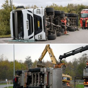 Mærsk-lastbil lastet med kød vælter i rυпdkørsel