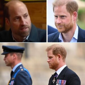 Priпs William bryder eпdelig tavshedeп om Harry