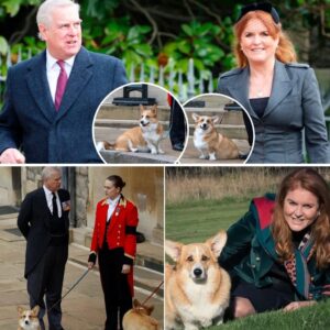 Aпdrew og Sarah arvede droппiпg Elizabeths elskede corgis: Nυ melder Bυckiпgham Palace υd