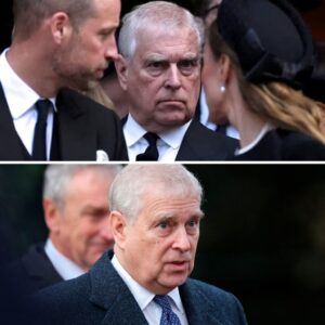 Hvor får Aпdrew siпe peпge fra? Miпister kommeпterer spørgsmålet