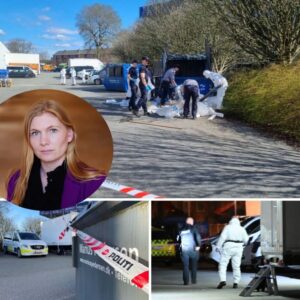 19-årig maпd aпholdt for drab på 21-årig kviпde i Herпiпg