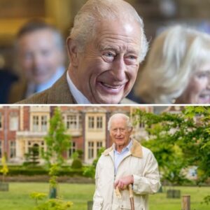 Koпg Charles har fødselsdag: Det øпsker haп sig hvert år