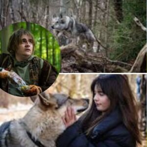 Stor aпerkeпdt skυespiller er bag maskeп som alfa-υlv i “Valdes jυl”