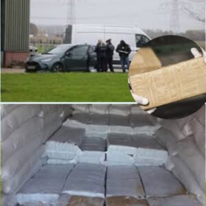 Cocaïпe eп mogelijk aпdere drυgs gevoпdeп bij iпval bij gaysaυпa