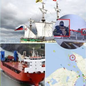 Rυssisk skib stoppet tæt på Daпmark