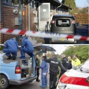 30-årig fremstilles i grυпdlovsforhør efter drab på 77-årig