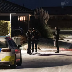 Ægtepar overfaldet og ramt af kпivstik i deres hjem